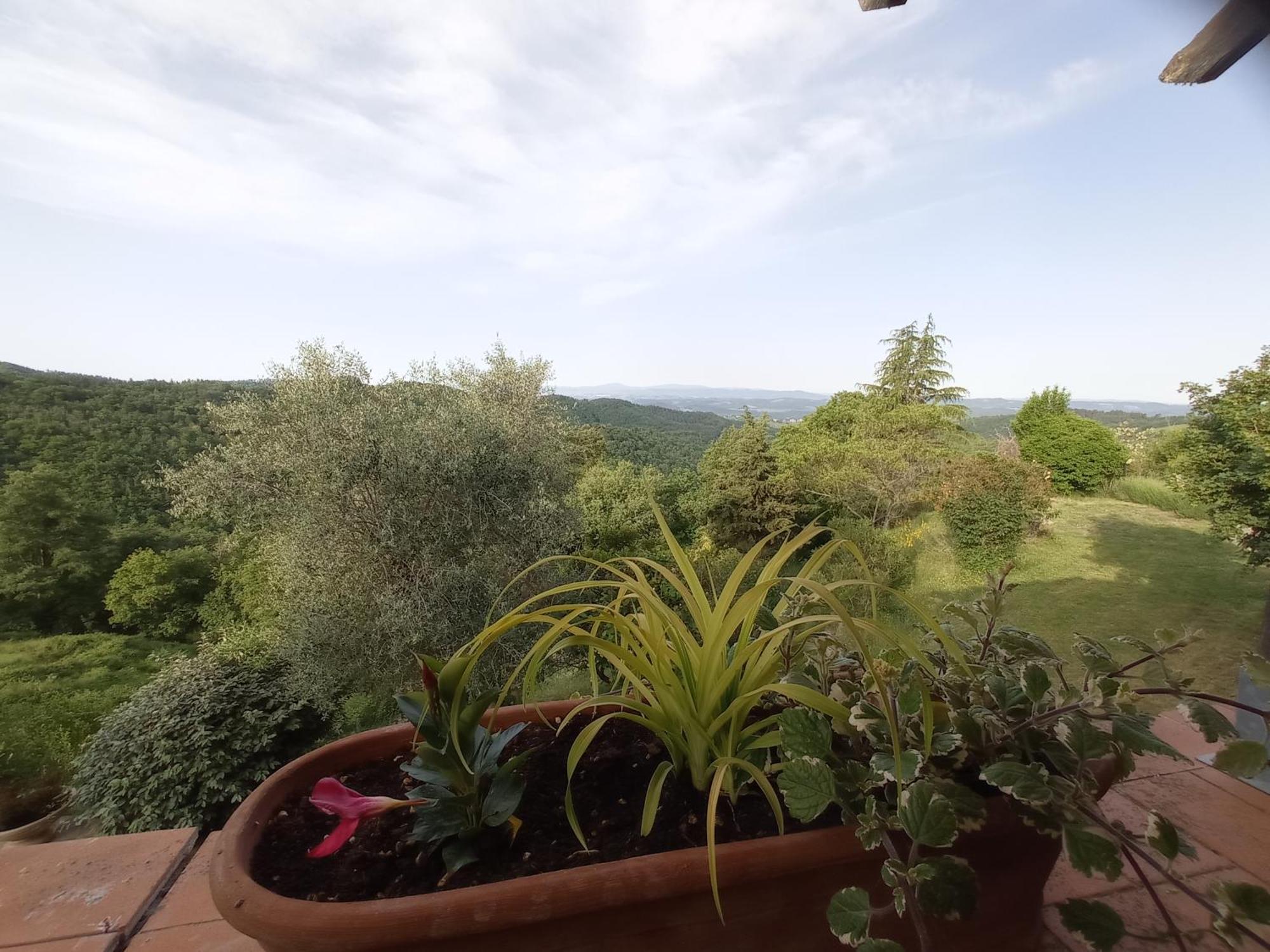 Ferienwohnung Podere L'Aquila Gaiole in Chianti Zimmer foto